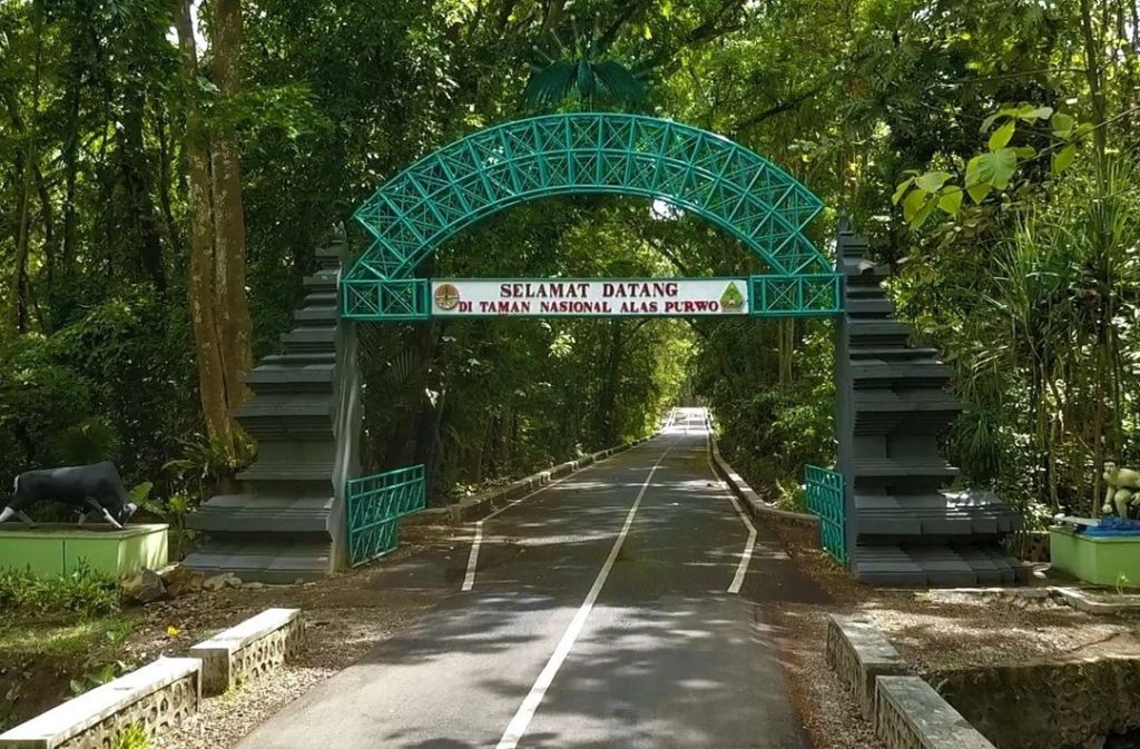 Taman Nasional Alas Purwo – Sabana Timur&nbsp;Jawa