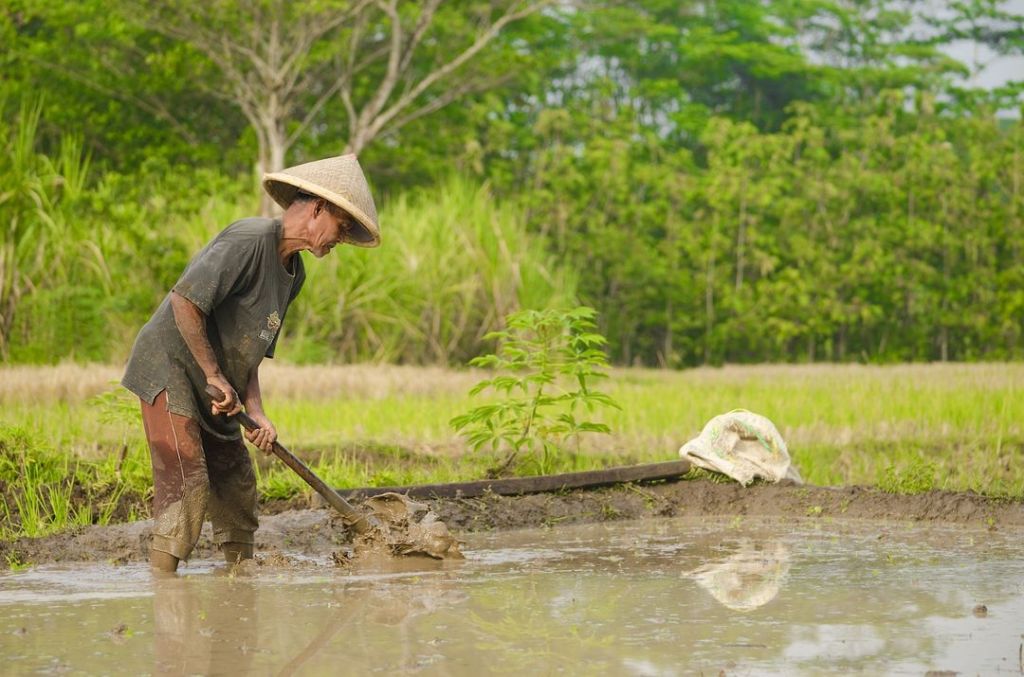Hari Krida Pertanian – 21 Juni
