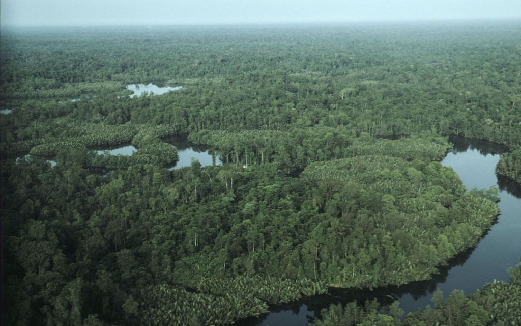 Taman Nasional Lorentz – Kawasan Konservasi Terbesar Asia&nbsp;Tenggara