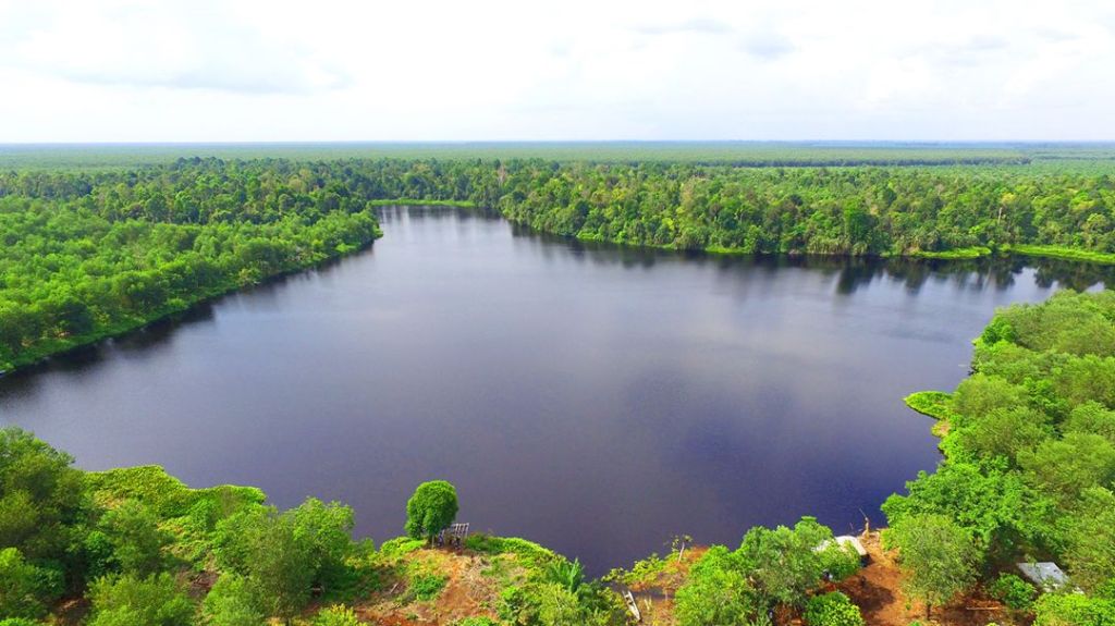 Taman Nasional Zamrud – Pelestarian Aset Gambut