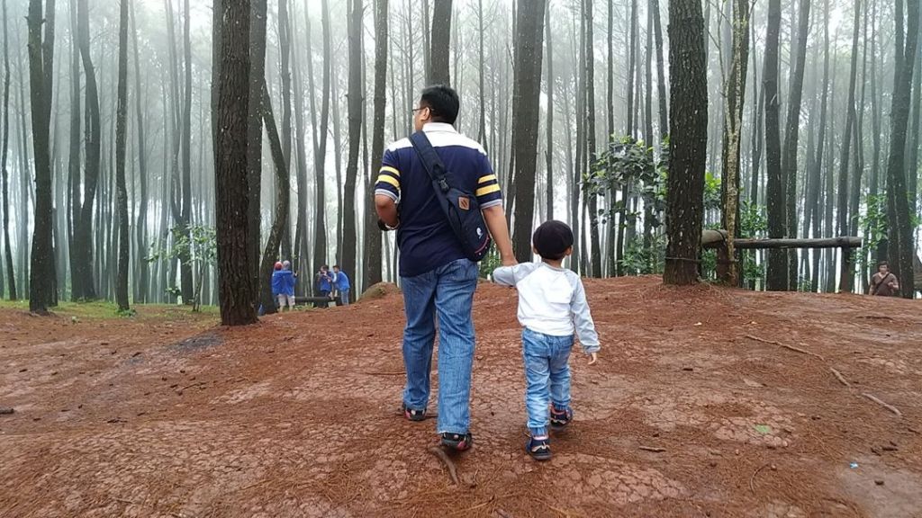 Hutan Pinus Pengger – Jogja