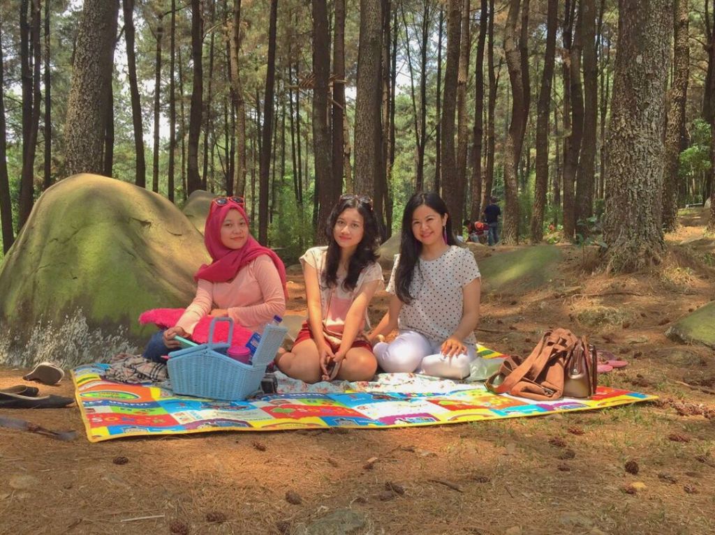 Piknik di Hutan Pinus Sentul, Gunung Pancar,&nbsp;Bogor