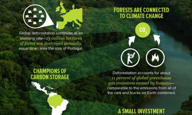 Infografis – Peran Hutan Melawan Perubahan&nbsp;Iklim