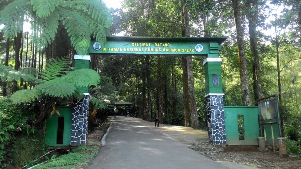Taman Nasional Gunung Halimun Salak – Konservasi & Ekosistem