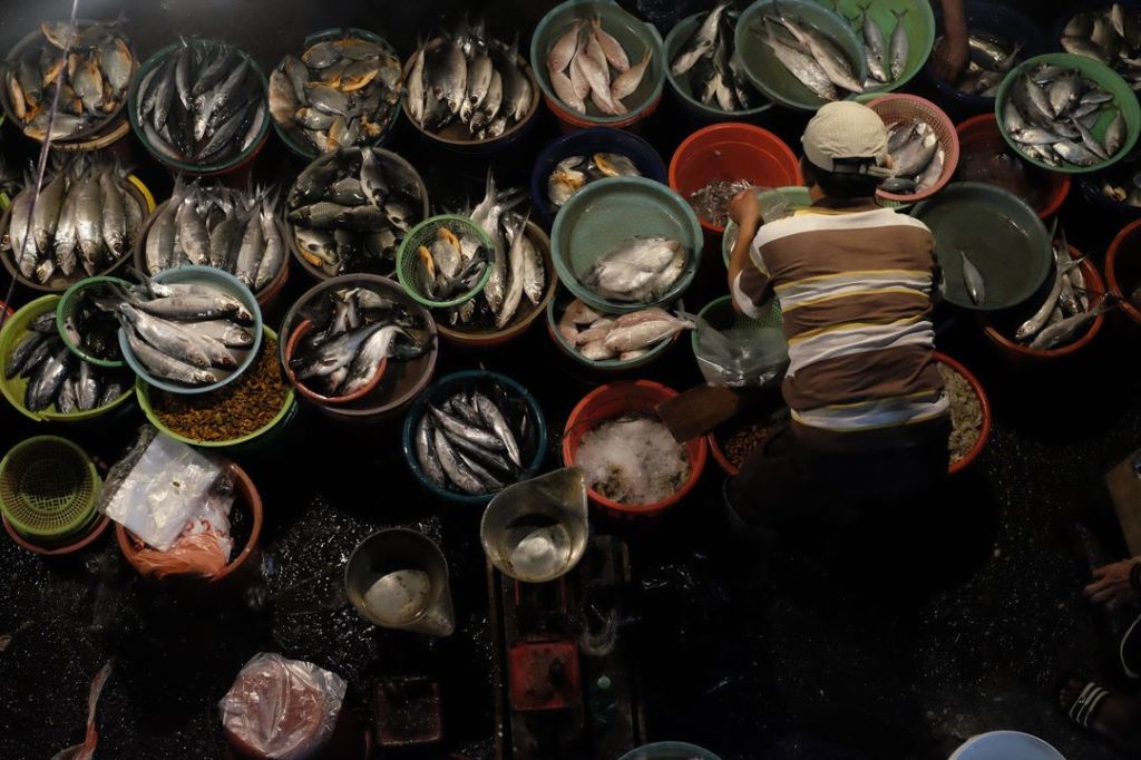 Negara Berkembang – Pengertian, Karakteristik, Ciri & Daftar di&nbsp;Dunia