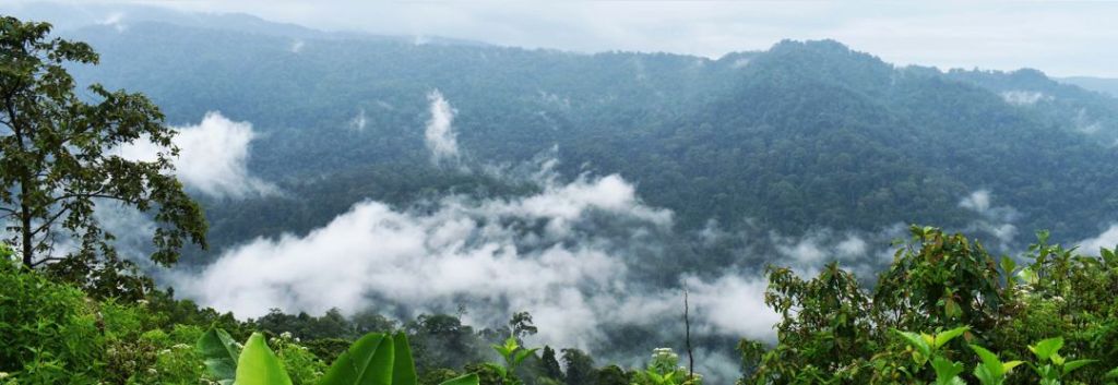 Sejarah Kawasan Taman Nasional Batang Gadis – Sumatera Utara