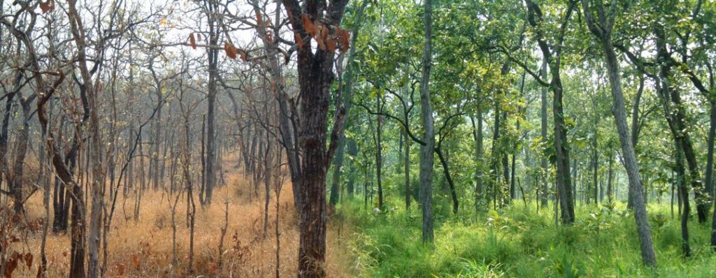 Musim Pancaroba – Pengertian, Waktu, Ciri dan Dampak Masa Peralihan